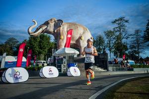 BIB: 
                            <button type="button" onclick="openModal(26541593)" class="btn btn-primary btn-sm float-right btn-popup" data-toggle="modal" data-target=".modal-high-quality">
                        <i class="fas fa-shopping-cart"></i> Add to Cart
                    </button>
                                            <button type="button" onclick="isThisMe(26541593, true)" class="btn btn-success btn-sm float-right btn-popup btn-isme hidden" data-toggle="tooltip" data-placement="bottom" title="นี่คือรูปของคุณใช่ไหม คลิกที่นี่เพื่อเอาเข้าอัลบั้ม">
                        <i class="fas fa-plus"></i> Add to album
                    </button>
                    <button type="button" onclick="isThisMe(26541593, false)" class="btn btn-warning btn-sm float-right btn-popup btn-isnotme hidden">
                        <i class="fas fa-ban"></i> Remove from album
                    </button>